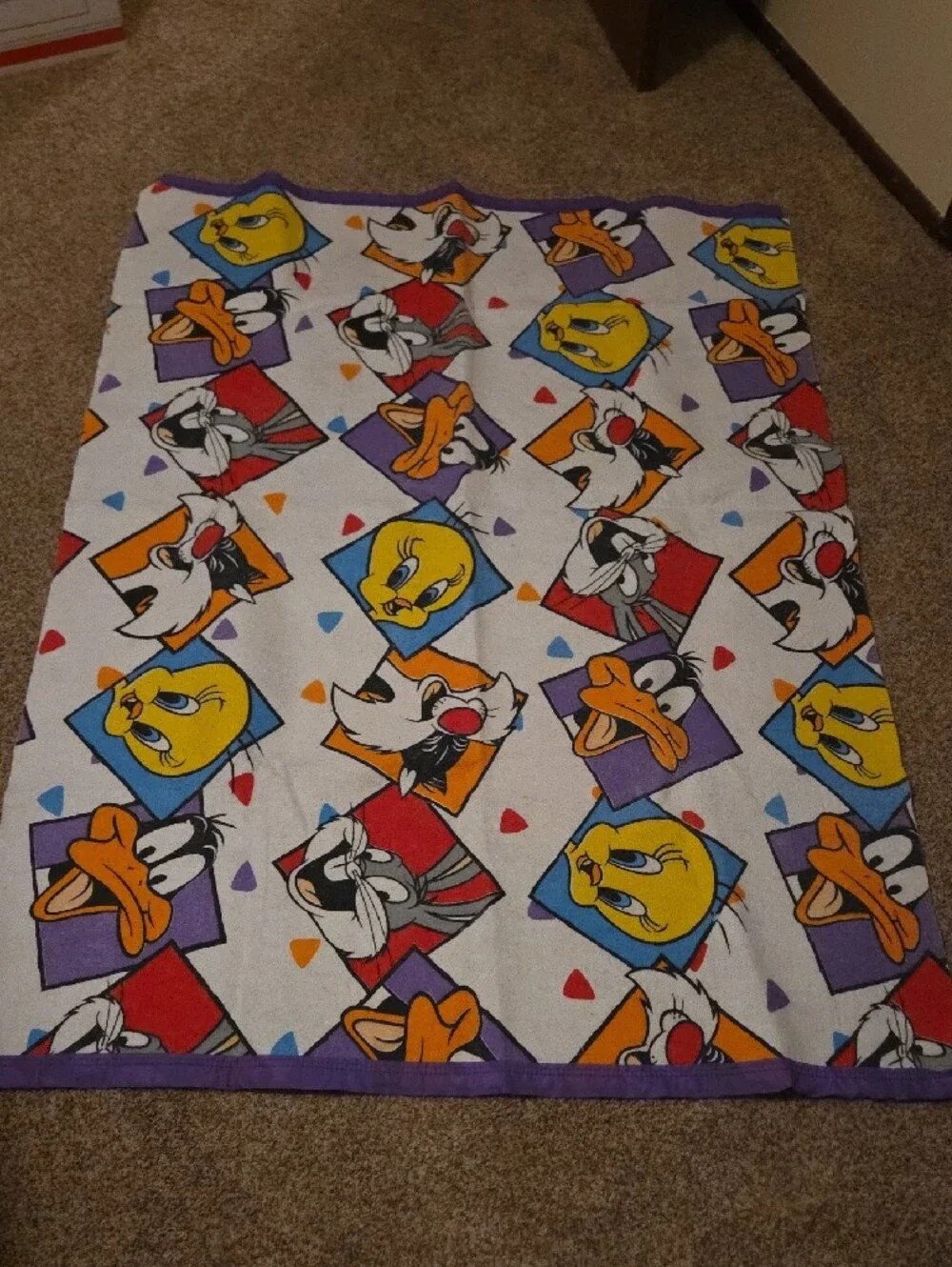 Looney Tunes Blanket with Purple Trim Featuring Tweety, Daffy, And Sylvester